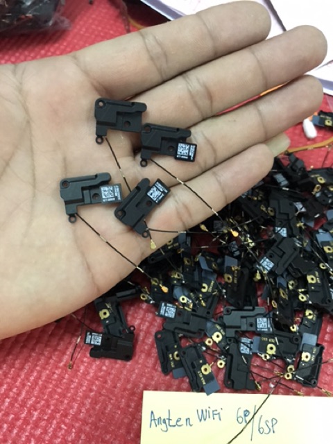 Cáp Angten Wifi 6/7/8, angten sóng wifi