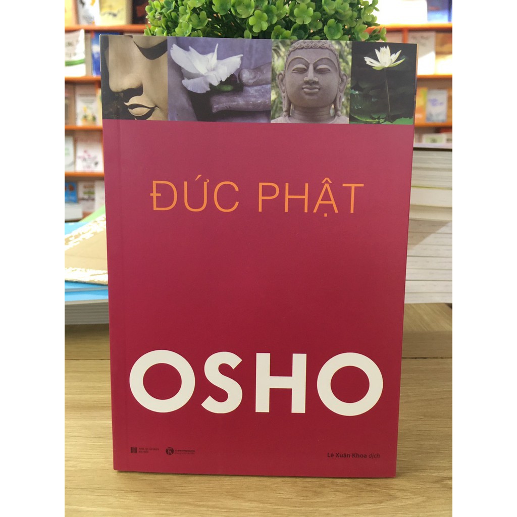 Sách - Combo Osho (5 Cuốn): Thiền, Đạo, Tantra, Đức Phật, Upanishad | BigBuy360 - bigbuy360.vn