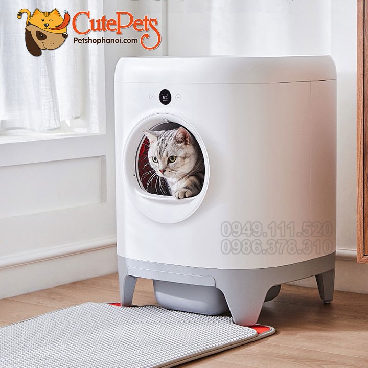[Chính hãng] Máy vệ sinh tự động kháng khuẩn, khử mùi Petkit Pura X dành cho mèo - Phụ kiện thú cưng Hà Nội