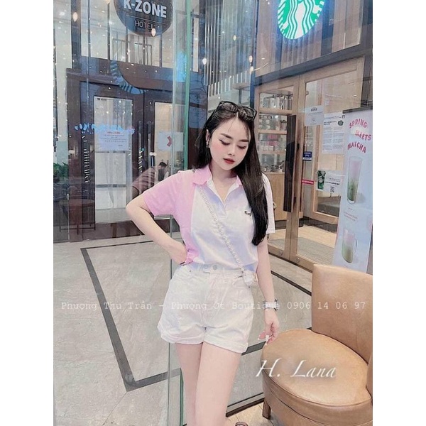 Áo polo hồng phối màu cho nữ