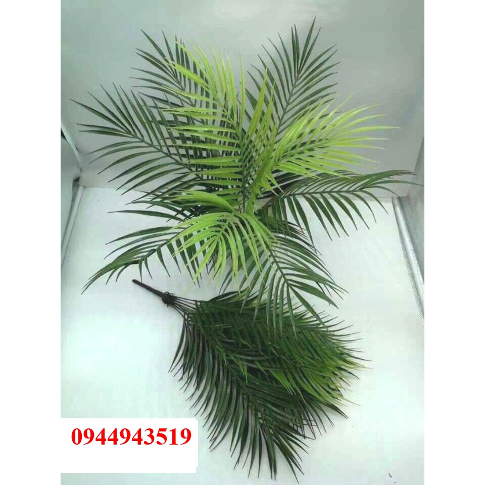 Cây giả - Cây cau nhỏ cao 50cm, 9 tàu lá to