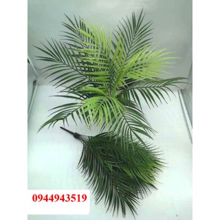 Cây giả - Cây cau nhỏ cao 50cm, 9 tàu lá to