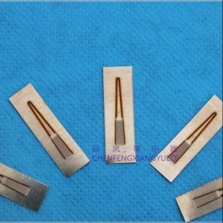 10 sp lam đồng sáo mèo Nam - Nữ