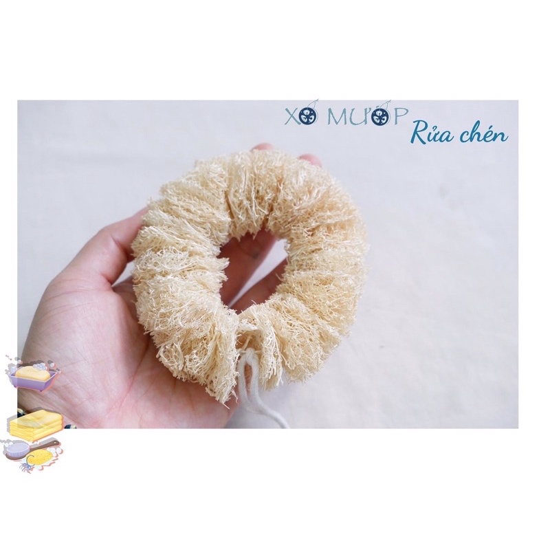 Xơ mướp rửa chén