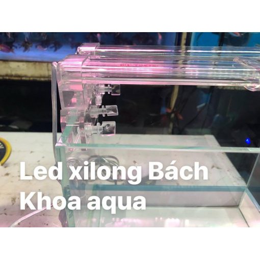 Đèn LED XILONG