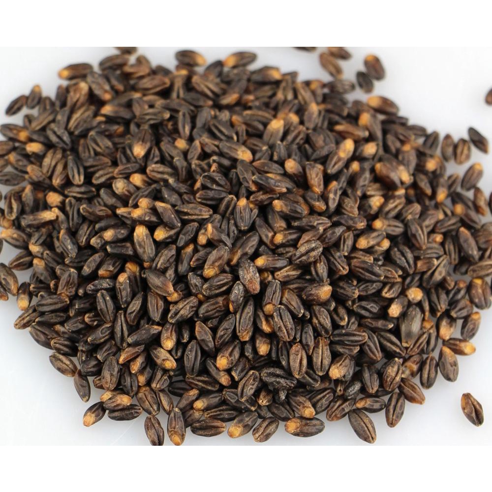 Lúa mạch đen tách vỏ Barley Black 500g