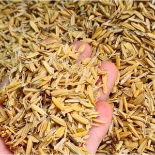 Trấu tươi (gói 2 dm3)-UtNho