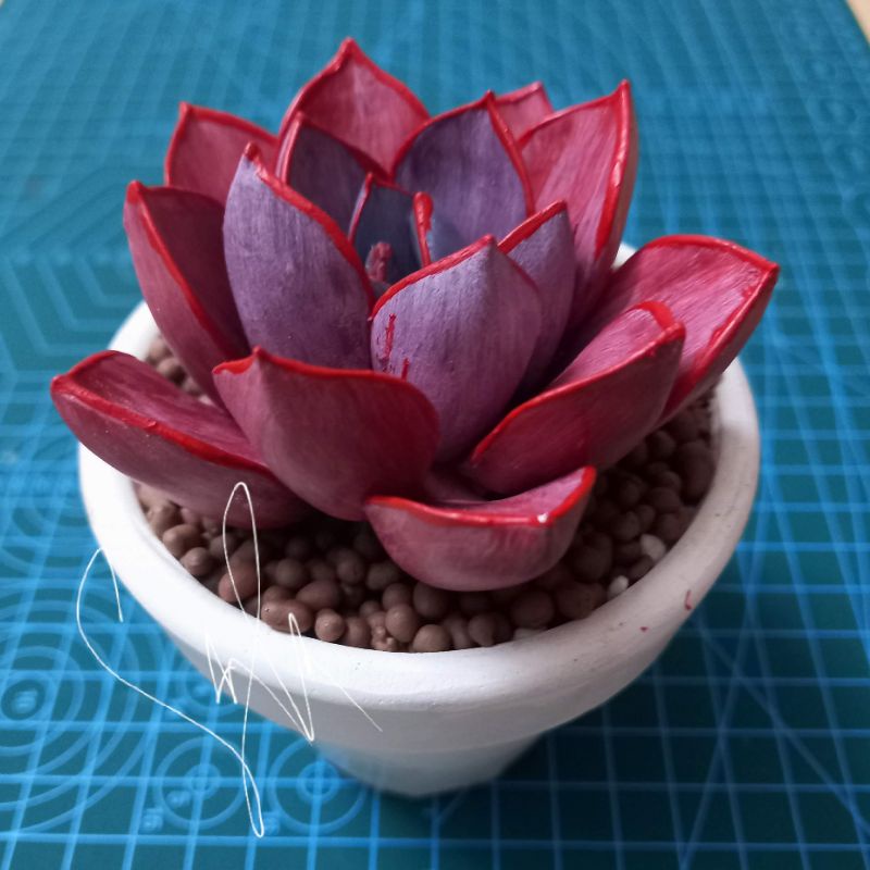 Sen đá đất sét đỏ đẹp