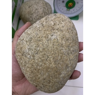 Đá nén dưa muối- Cà muối