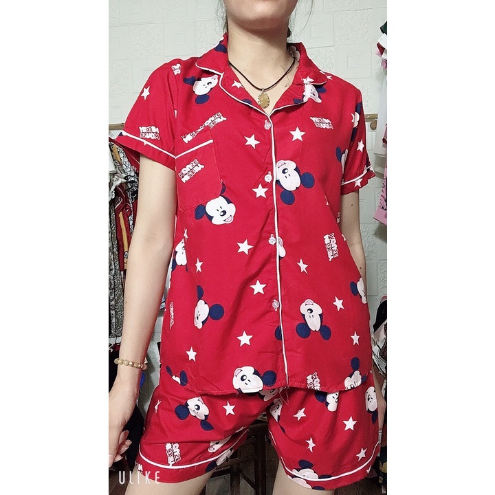Bộ Pijama Kate Đùi Mặc Nhà- Ảnh thật 100%- B6