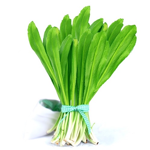 Hạt Giống Mùi Tàu/ Ngò Gai Dễ Trồng 10gr