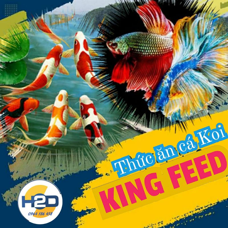 Cám koi King feed 42% đạm