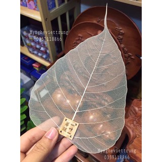 Lá lọc trà, lá bồ đề dụng cụ thưởng trà