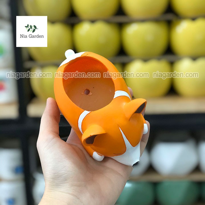 Chậu chó Corgi cam trồng sen đá xương rồng mini để bàn Nia Garden N4