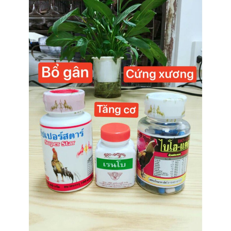 Bộ thuốc bổ nuôi cho gà chọi gà tre, bộ bổ gân tăng cơ cứng xương