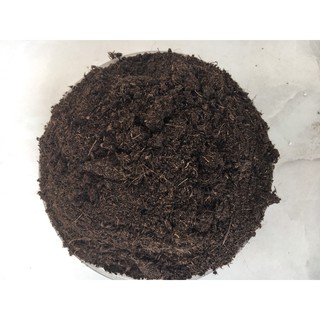 Đất Peatmoss 1.2l