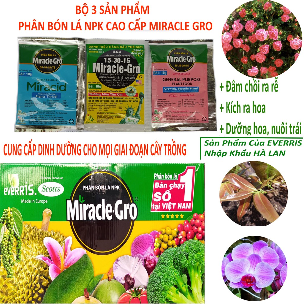 Combo bộ ba Phân Bón Lá Miracle - Gro (30-10-10) - (15-30-15) - (20-20-20), chuyên dùng cho hoa hồng, hoa lan