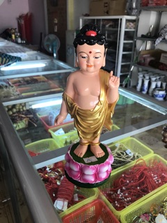 Tượng đản sanh