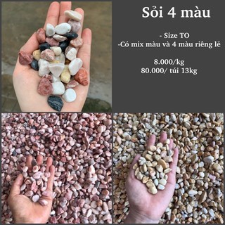 SỎI 4 MÀU TỰ NHIÊN - Dùng trang trí hồ cá - 2 kích thước - 1kg //