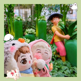 Only Doll EXO Sehun UU 15cm