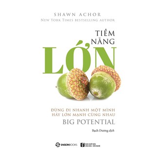 SÁCH: Tiềm năng lớn - Đừng đi nhanh một mình, hãy lớn mạnh cùng nhau - Tác giả: Shawn Achor