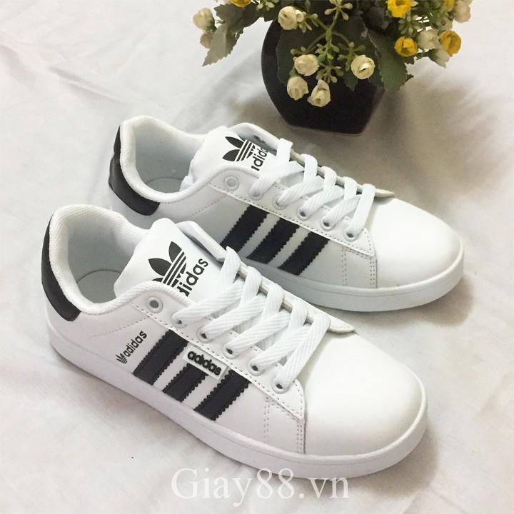 Giày Adidas trơn trắng