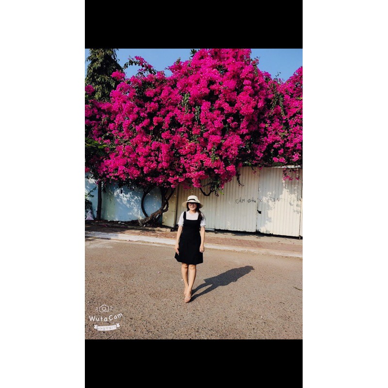 Thanh lý đầm siêu xinh rất mới