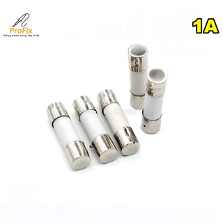 Cầu chì sứ 5x20mm 1a