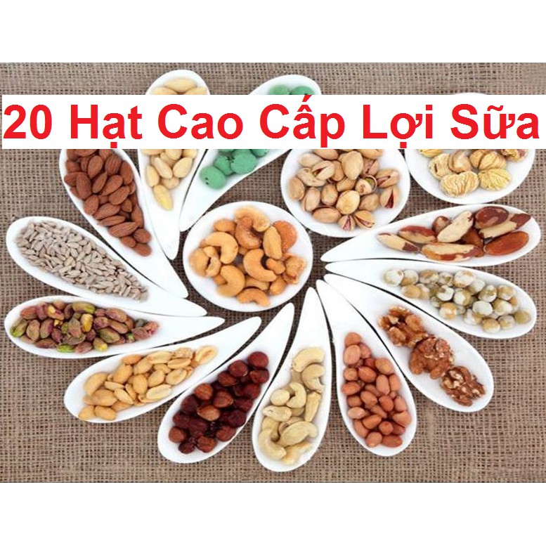 Bột Ngũ Cốc Dinh Dưỡng Lợi Sữa Phúc An 💝FREE SHIP💝 Ngu Coc Loi Sua Bà Bầu Mẹ Sau Sinh 20 Loại Hạt 500gr Không Tăng Cân