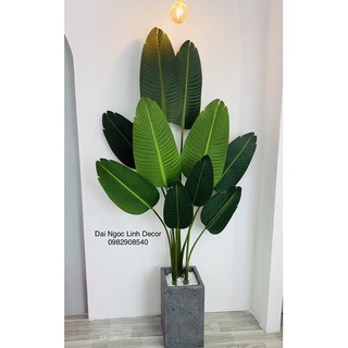 Cây chuối giả 1,6m