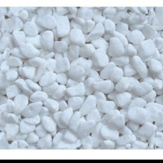 [RẺ]  500g sỏi trắng trang trí chậu cây ĐẸP, chất.