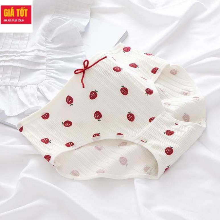 Quần chíp bé gái 20kg 30kg 40kg☑️ quần lót tam giác  bé gái 3 - 12 tuổi☑️ Thời trang bé gái 3 tuổi