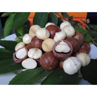 HẠT MACCA ÚC