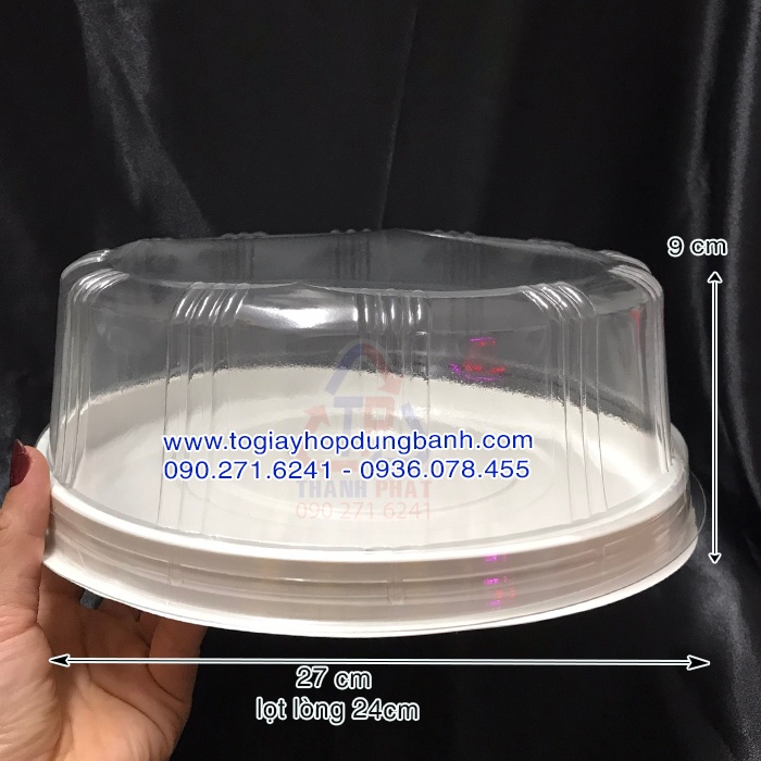 10 Hộp H122 đựng rau câu cá chép 24cm - bánh bông lan lớn