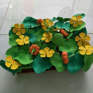Combo 10 gìan các loại, giá : 390000k