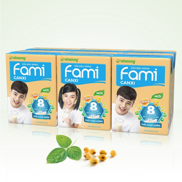 Thùng 36 Hộp Sữa đậu nành Fami Canxi - 200ml/Hộp