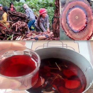 1 kg 30 ngày uống Tăng cân cỏ máu 7 vị
