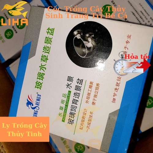 Cốc Trồng Cây Thủy Sinh Trang Trí Bể Cá, Cây Thủy Sinh