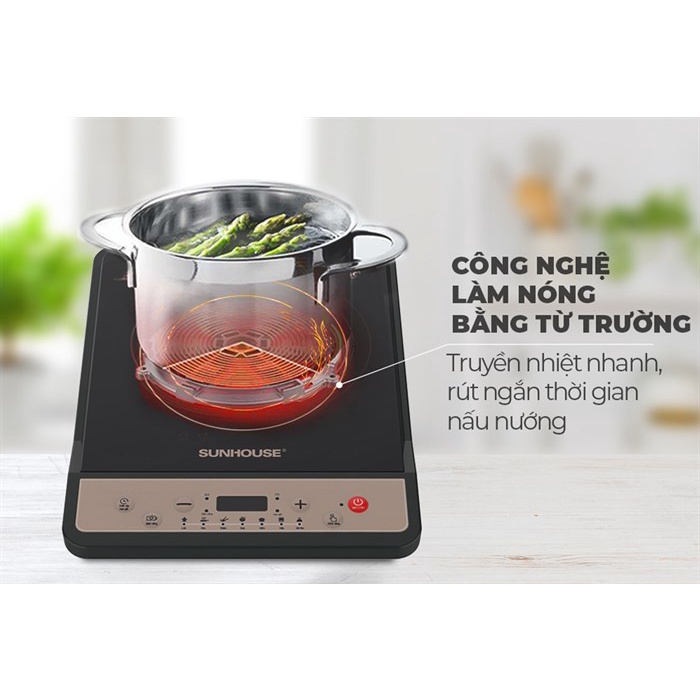 Bếp từ Sunhouse SHD6159