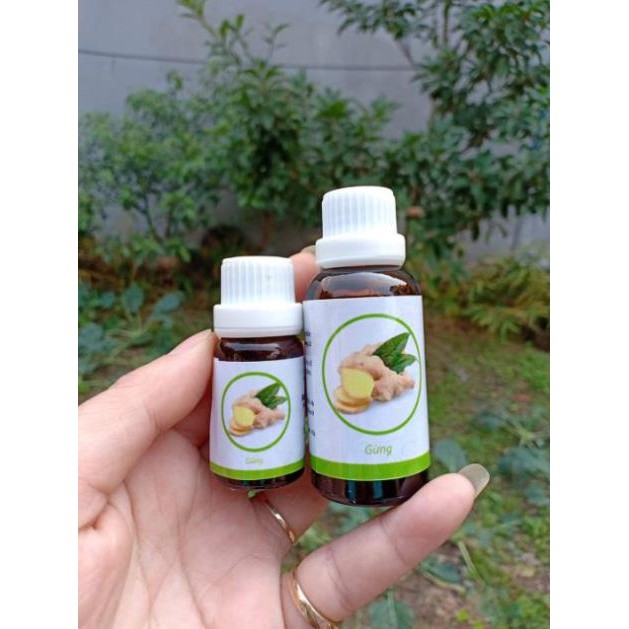 Tinh dầu gừng nguyên chất - Viện Hàn lâm KHCNVN
