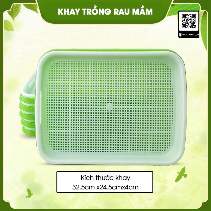 Bộ Kit giá khay trồng rau mầm thủy canh 5 tầng 5 khay