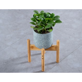 Kệ chậu cây, chậu hoa- Kệ gỗ tre tròn, màu đẹp lắp ghép đơn giản.