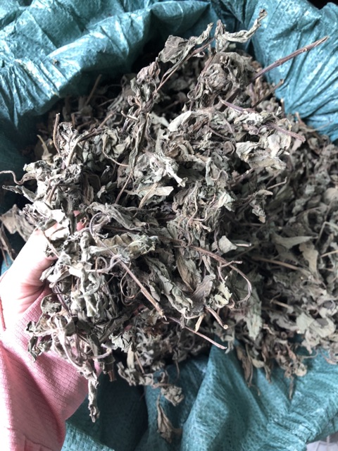 Hương nhu tía 50g (ngọn khô)