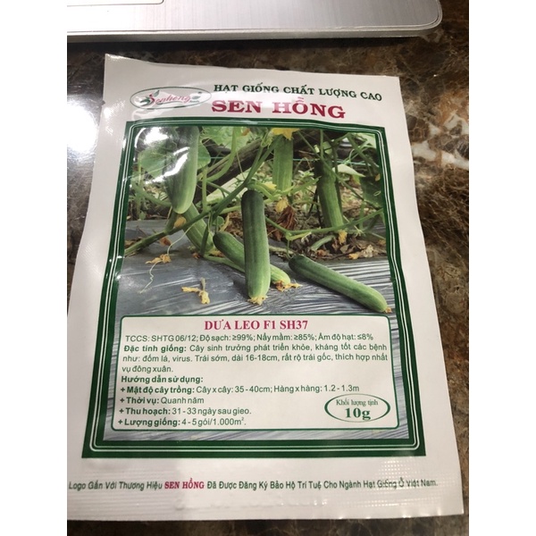 Dưa leo SH37 sen hồng 10 gam 450-500 hạt .