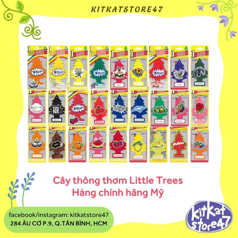 CÂY THÔNG THƠM LITTLE TREES