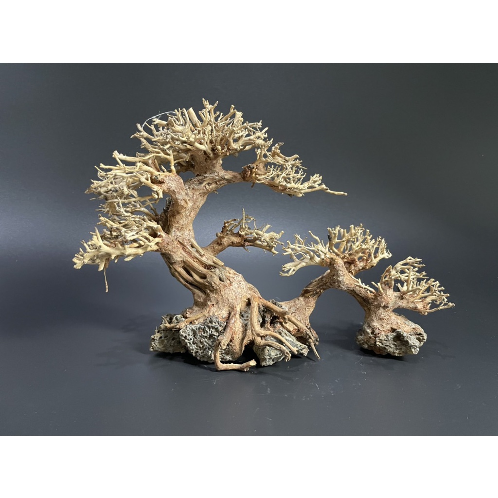 Lũa Bonsai, Lũa thủy sinh dùng trang trí hồ cá cảnh, hồ thủy sinh, văn phòng, nhà cửa