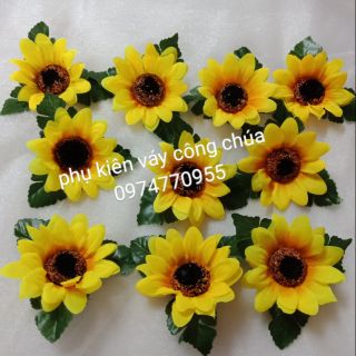 Hoa hướng dương
