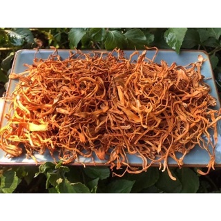 Đông Trùng Hạ Thảo Nuôi Cấy khô 1kg