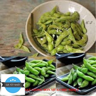 Gói 10 hạt giống đậu nành edamame ngọt đậu to - besweet