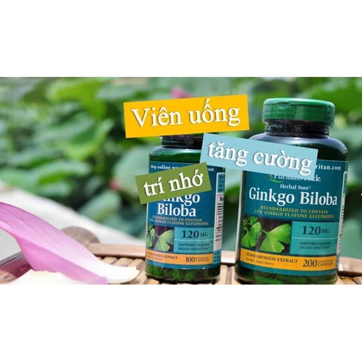 Ginkgo Biloba 120mg Puritan's Pride - Tuần Hoàn Não, Hoạt Huyết Dưỡng Não